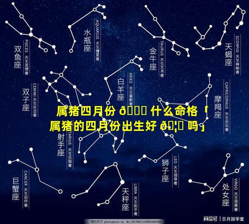 属猪四月份 🐞 什么命格「属猪的四月份出生好 🦄 吗」